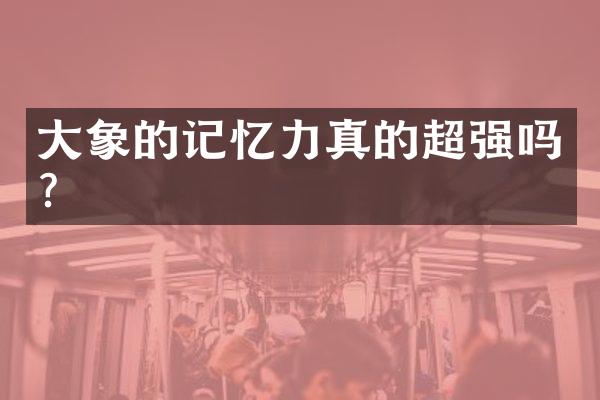大象的记忆力真的超强吗？