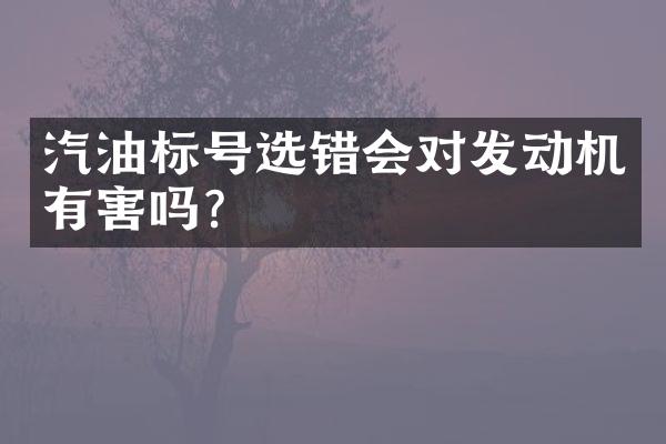 汽油标号选错会对发动机有害吗？