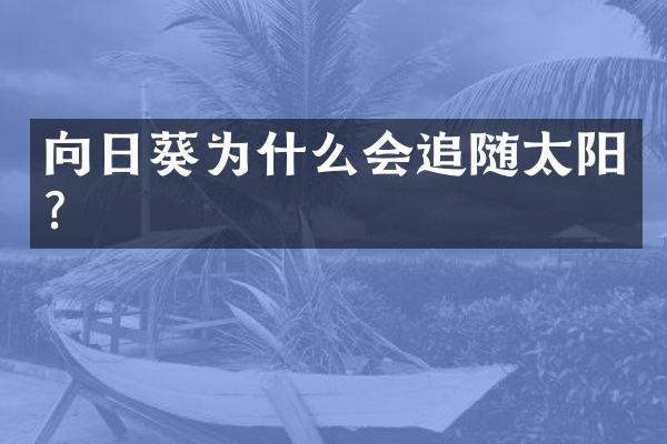 向日葵为什么会追随太阳？