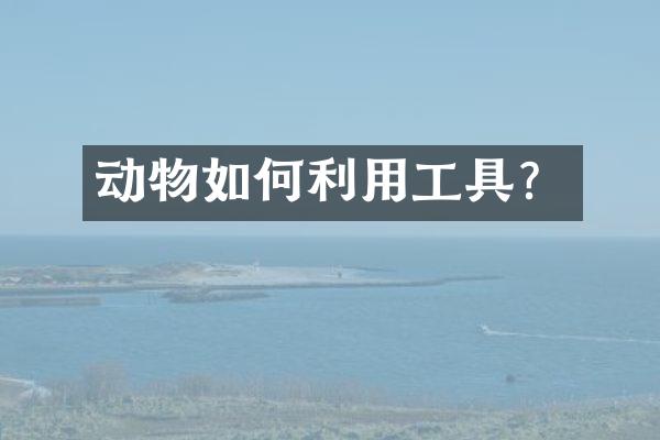 动物如何利用工具？