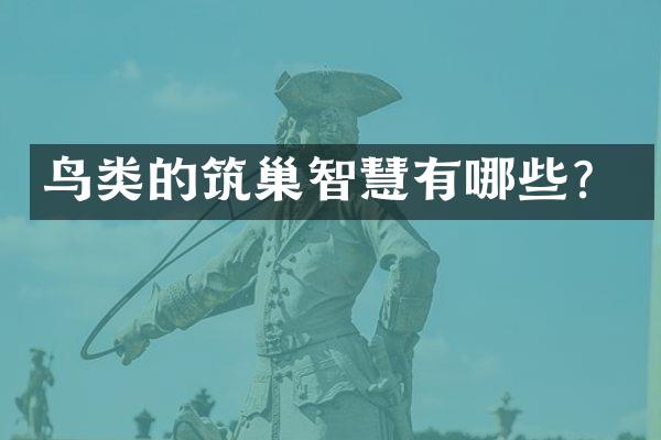 鸟类的筑巢智慧有哪些？