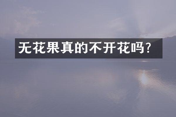 无花果真的不开花吗？