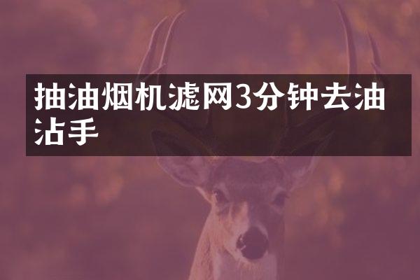抽油烟机滤网3分钟去油不沾手