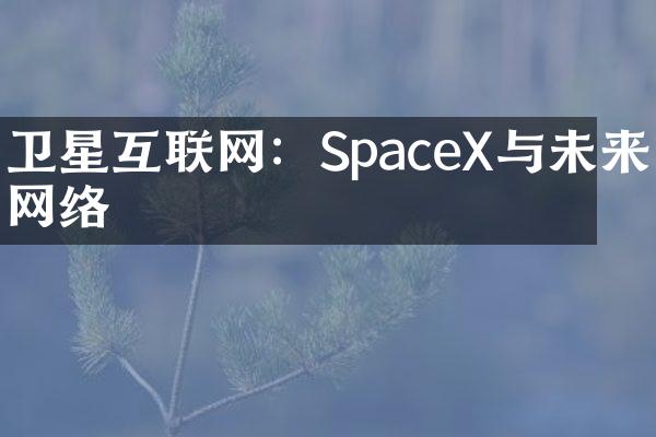卫星互联网：SpaceX与未来网络