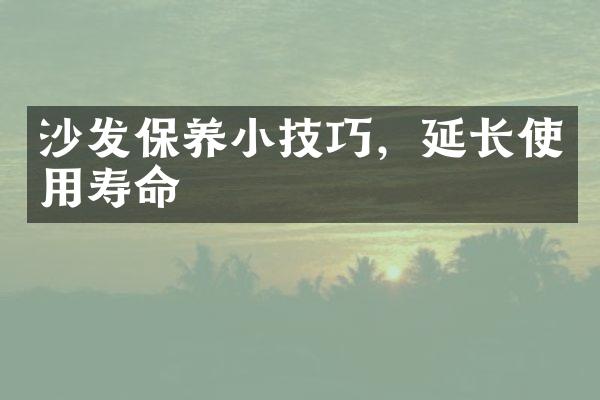 沙发保养小技巧，延长使用寿命