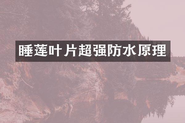 睡莲叶片超强防水原理