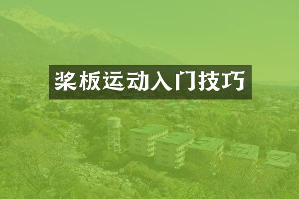 桨板运动入门技巧