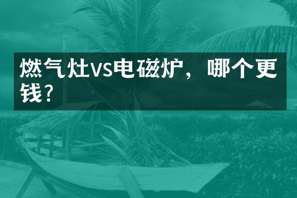 燃气灶vs电磁炉，哪个更省钱？