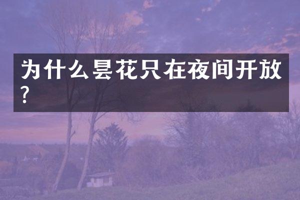 为什么昙花只在夜间开放？