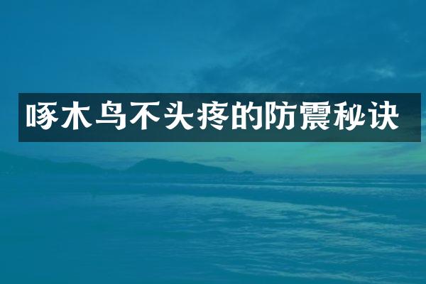 啄木鸟不头疼的防震秘诀