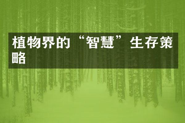 植物界的“智慧”生存策略