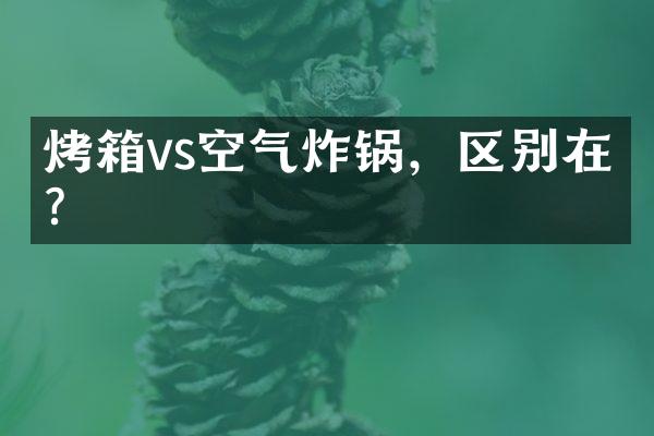 烤箱vs空气炸锅，区别在哪？