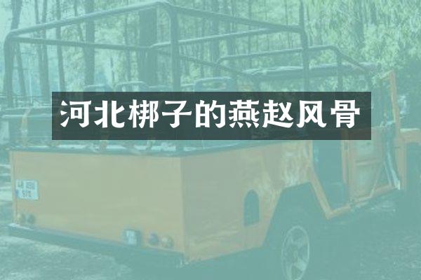 河北梆子的燕赵风骨