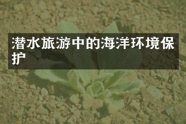 潜水旅游中的海洋环境保护