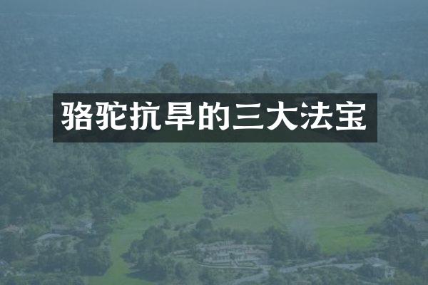 骆驼抗旱的三大法宝