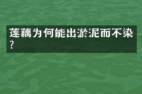 莲藕为何能出淤泥而不染？