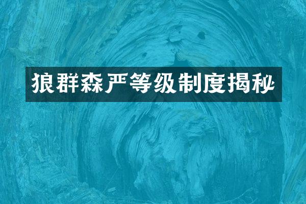 狼群森严等级制度揭秘