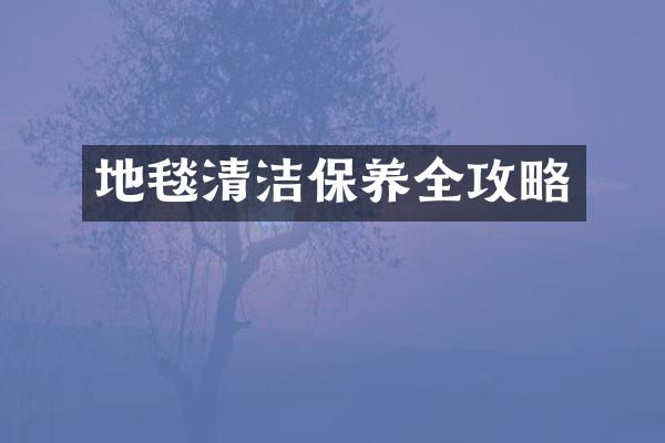 地毯清洁保养全攻略
