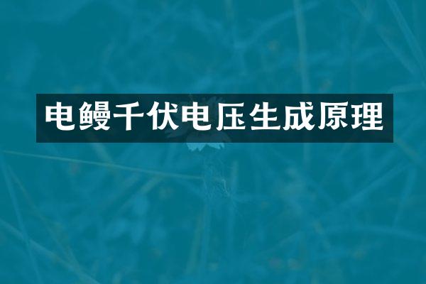 电鳗千伏电压生成原理
