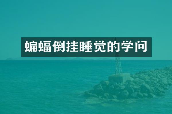 蝙蝠倒挂睡觉的学问