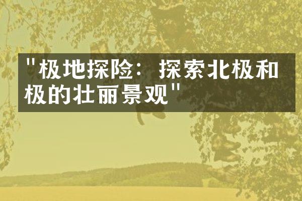 "极地探险：探索北极和南极的壮丽景观"
