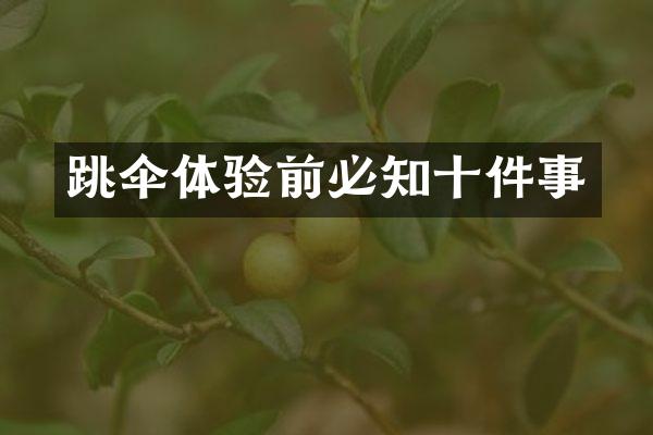 跳伞体验前必知十件事
