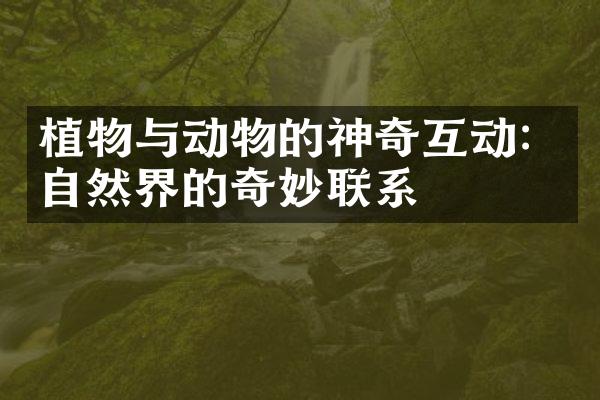 植物与动物的神奇互动：自然界的奇妙联系