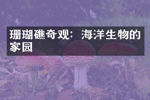 珊瑚礁奇观：海洋生物的家园
