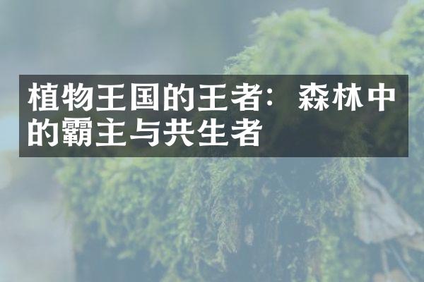 植物王国的王者：森林中的霸主与共生者
