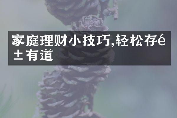 家庭理财小技巧,轻松存钱有道
