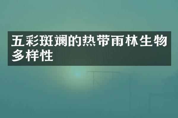 五彩斑斓的热带雨林生物多样性