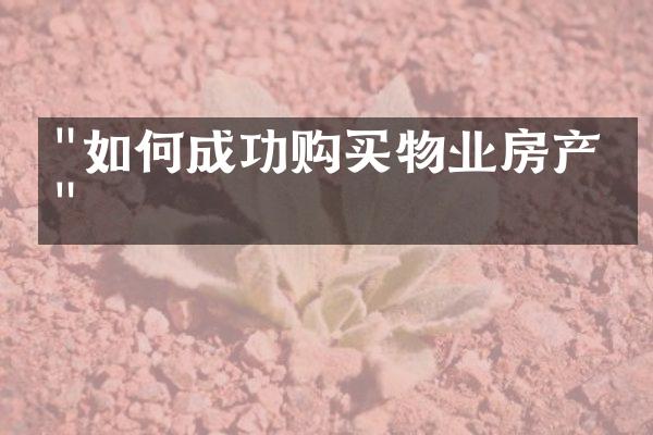 "如何成功购买物业房产？"