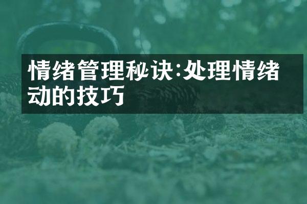 情绪管理秘诀:处理情绪波动的技巧