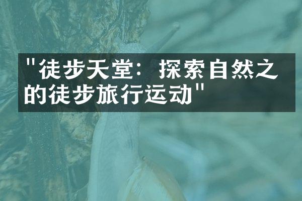 "徒步天堂：探索自然之美的徒步旅行运动"
