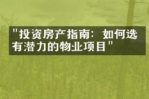 "投资房产指南：如何选择有潜力的物业项目"