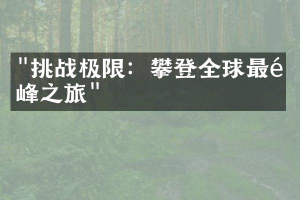 "挑战极限：攀登全球最高峰之旅"