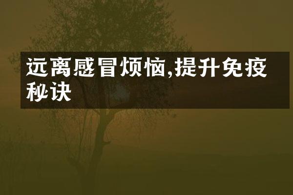 远离感冒烦恼,提升免疫力秘诀