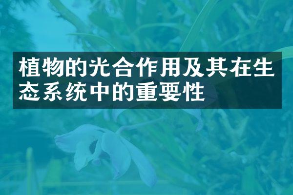 植物的光合作用及其在生态系统中的重要性