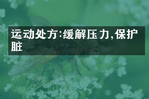 运动处方:缓解压力,保护心脏