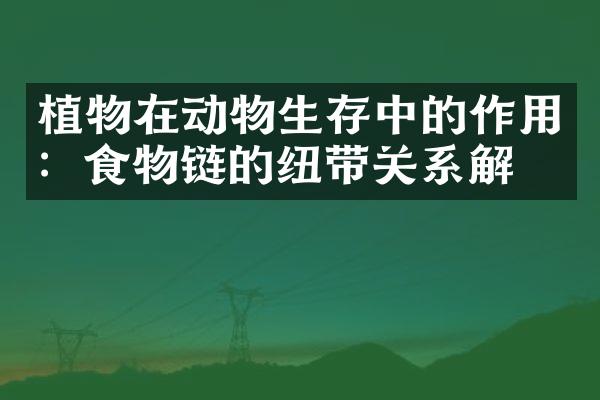 植物在动物生存中的作用：食物链的纽带关系解析