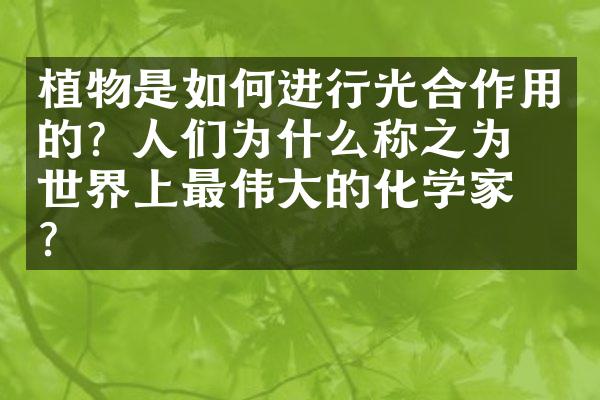 植物是如何进行光合作用的？人们为什么称之为“世界上最伟大的化学家”？