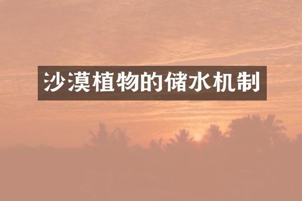 沙漠植物的储水机制