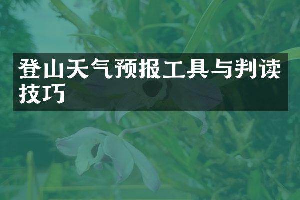 登山天气预报工具与判读技巧