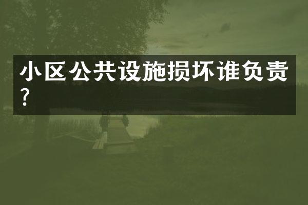 小区公共设施损坏谁负责？