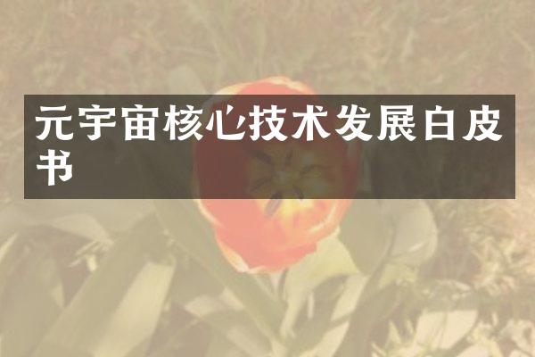 元宇宙核心技术发展白皮书