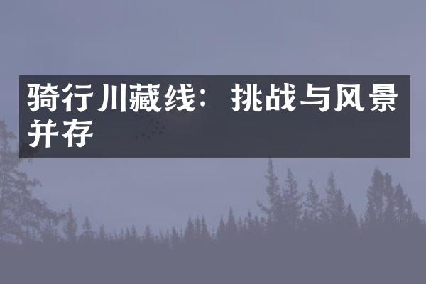 骑行川藏线：挑战与风景并存