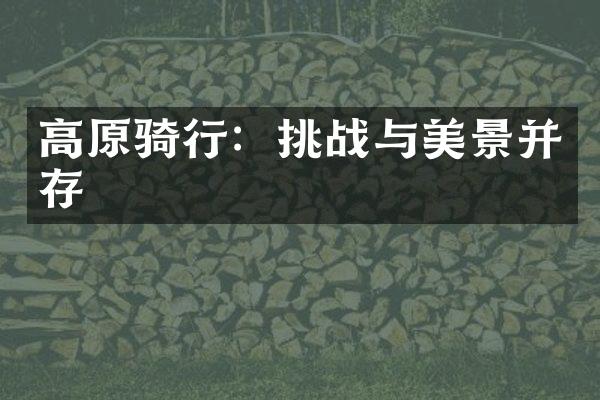 高原骑行：挑战与美景并存