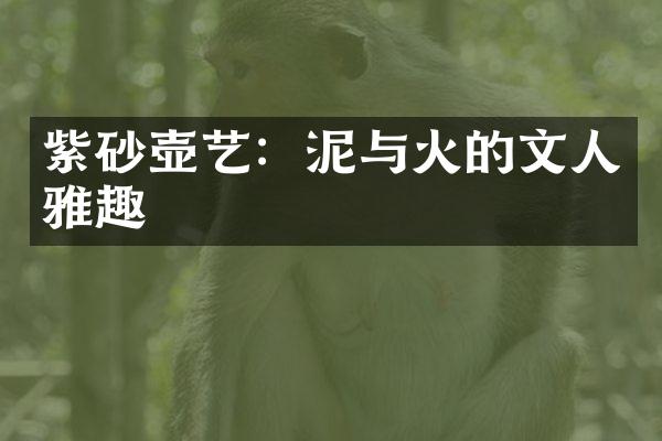 紫砂壶艺：泥与火的文人雅趣