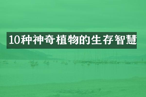 10种神奇植物的生存智慧