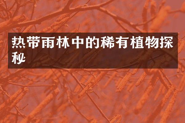 热带雨林中的稀有植物探秘
